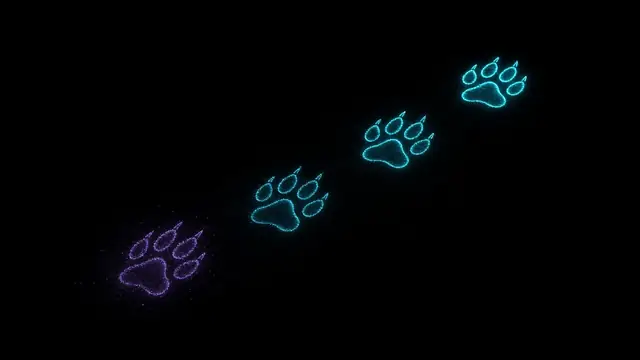 Four paw prints in light walking up and to the right, the oldest fading violet, the newest bright cyan.